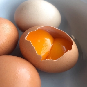 3 Things You Didn’t Know About Double Yolks
